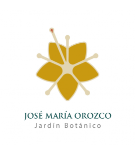 Jardín Botánico José María Orozco: un espacio urbano para la educación sobre la botánica Jardín Botánico José María Orozco: un espacio urbano para la educación sobre la botánica