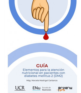 Guía Elementos para la atención Nutricional en pacientes con diabetes mellitus 2 (DM2) Guía Elementos para la atención Nutricional en pacientes con diabetes mellitus 2 (DM2)